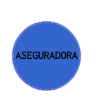 [-Curriculum Vitae-]---Aseguradora Asegur10