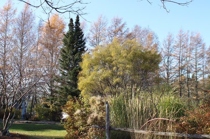L'automne 2021 chez Tulipe 127 - Page 3 2021-199