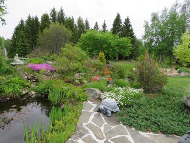 Printemps 2019 chez Tulipe 127 - Page 16 Img_1723