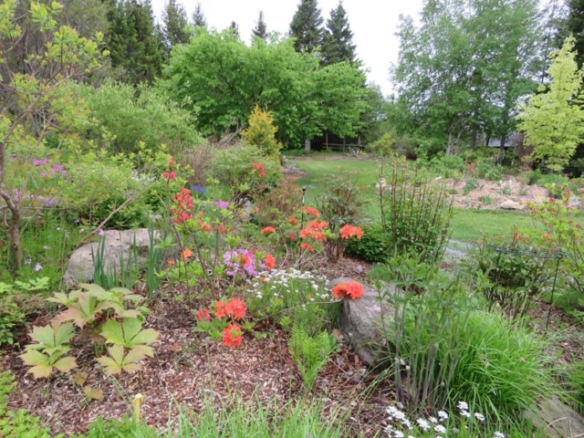 Printemps 2019 chez Tulipe 127 - Page 16 Img_1725