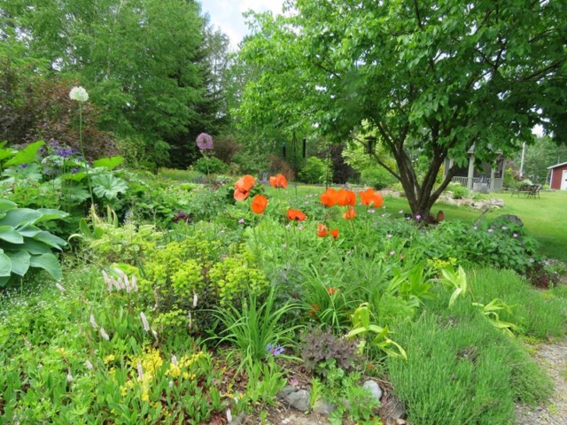 C'est l'été 2019 chez Tulipe 127 - Page 2 Img_3339