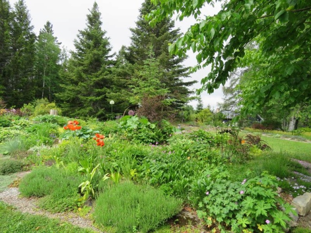 C'est l'été 2019 chez Tulipe 127 - Page 2 Img_3519