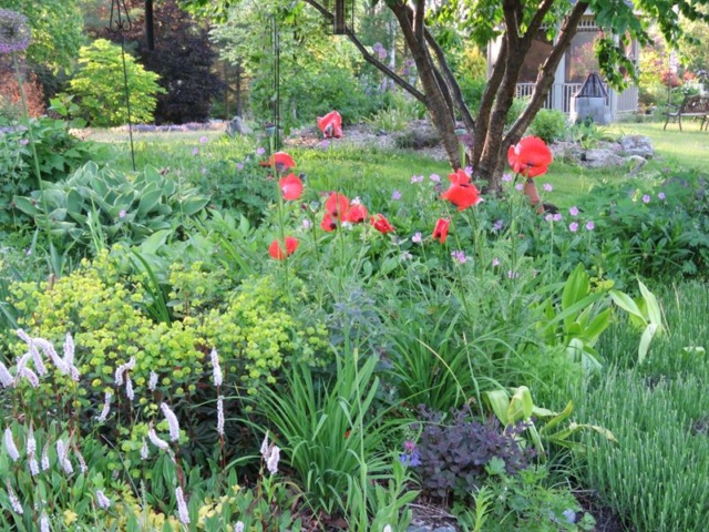 C'est l'été 2019 chez Tulipe 127 - Page 2 Img_3816