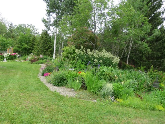 C'est l'été 2019 chez Tulipe 127 - Page 4 Img_5723