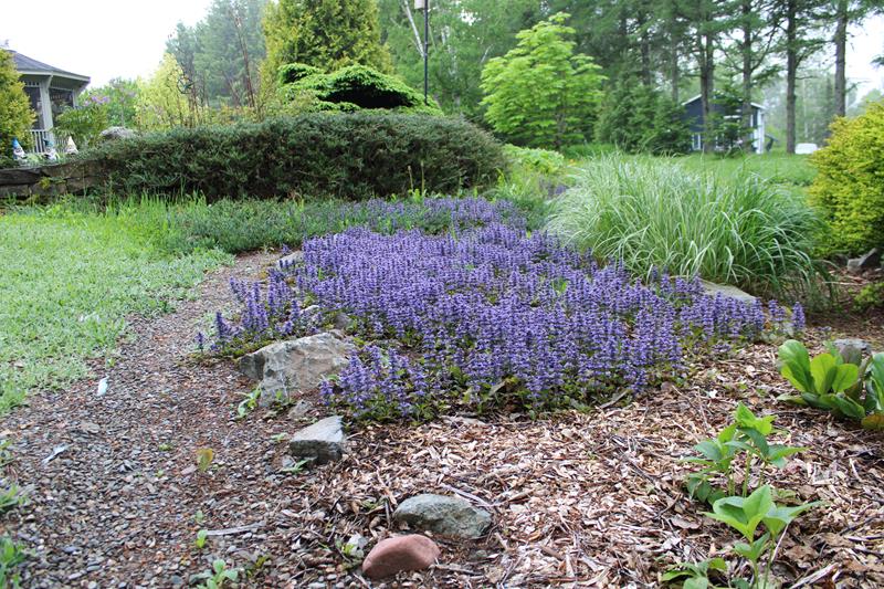 L'été 2022 chez Tulipe 127 Img_5742