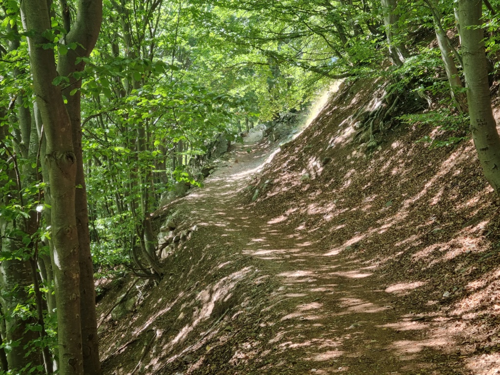 Longue arête du Mt Matto 20230980