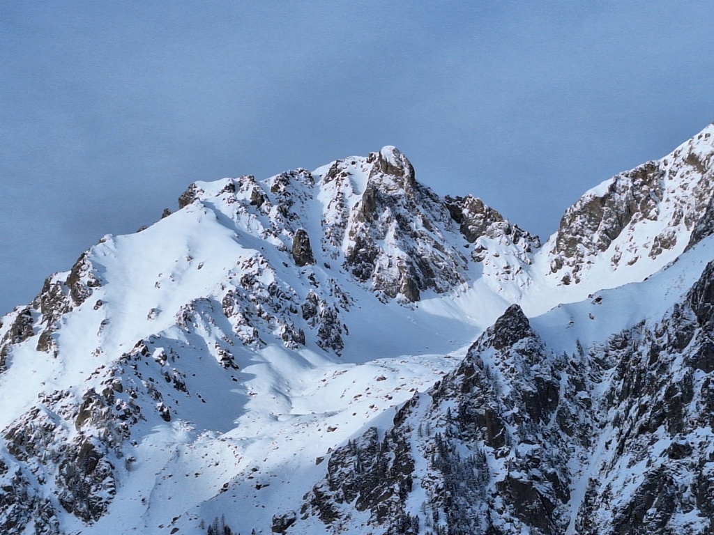 T.L.A avec les flocons. 20240320