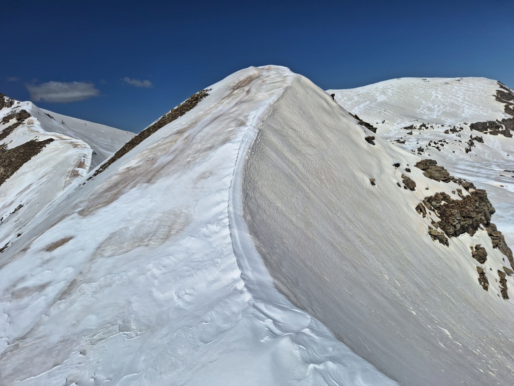 Alpi Tranquille au Grand Coyer 20240441