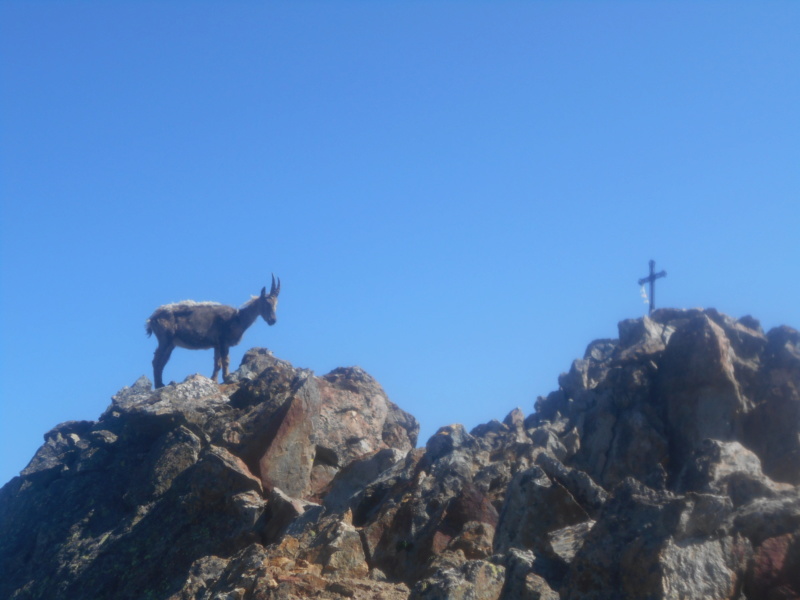 au soleil de la Cime d'Argent. Argent16