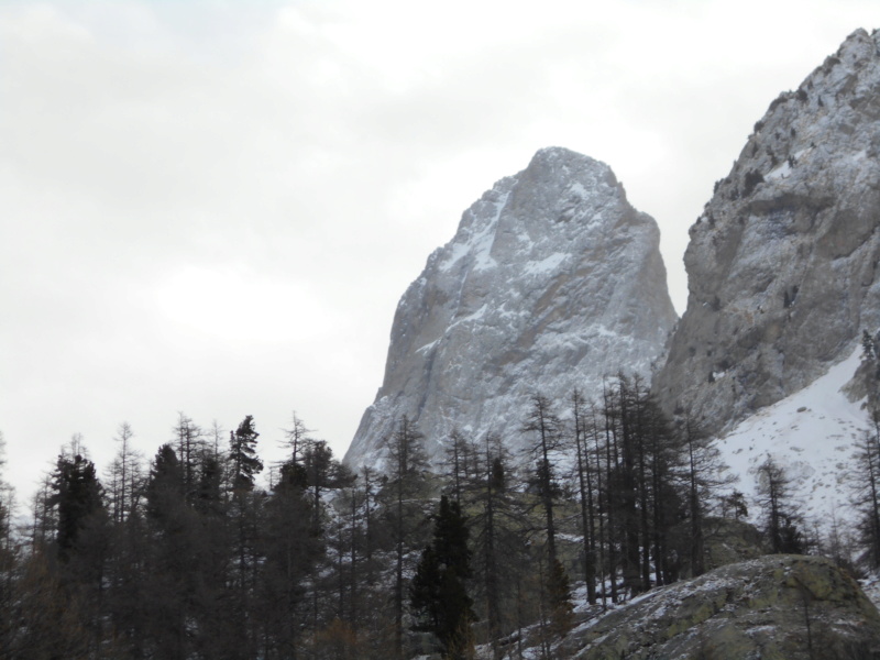 jolie ligne sur l'Agnel Cayre_56