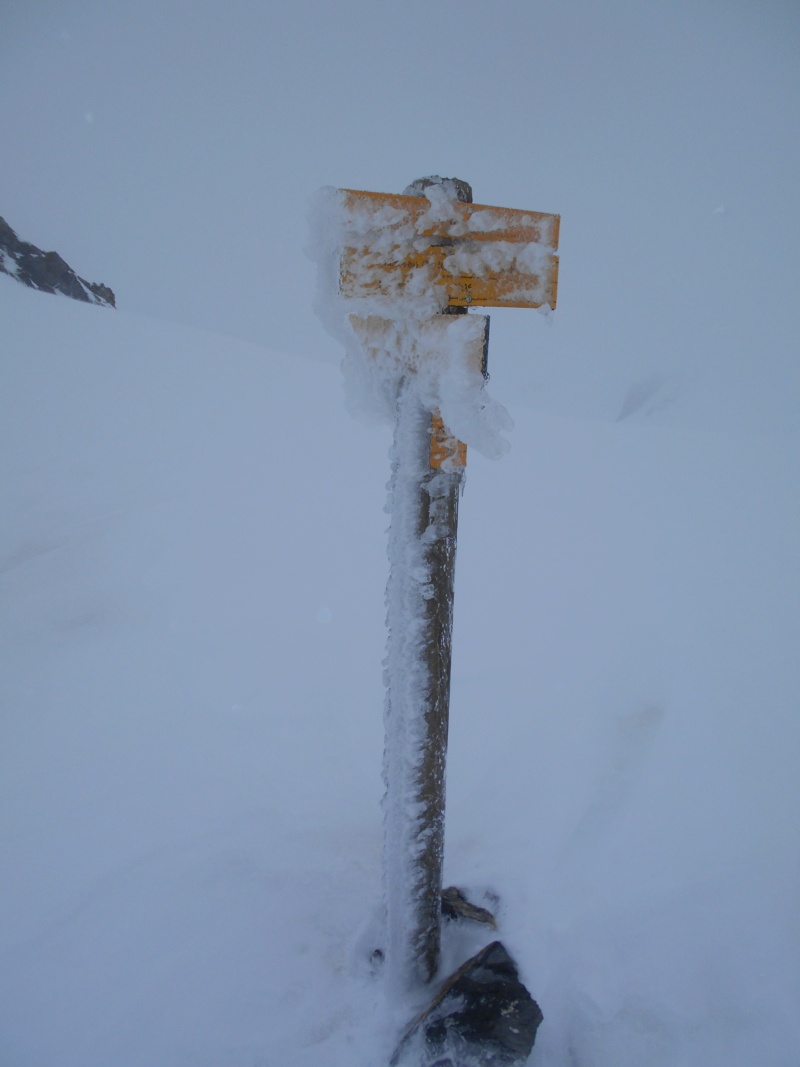 Mt Mounier dans la cousse... Mounie14