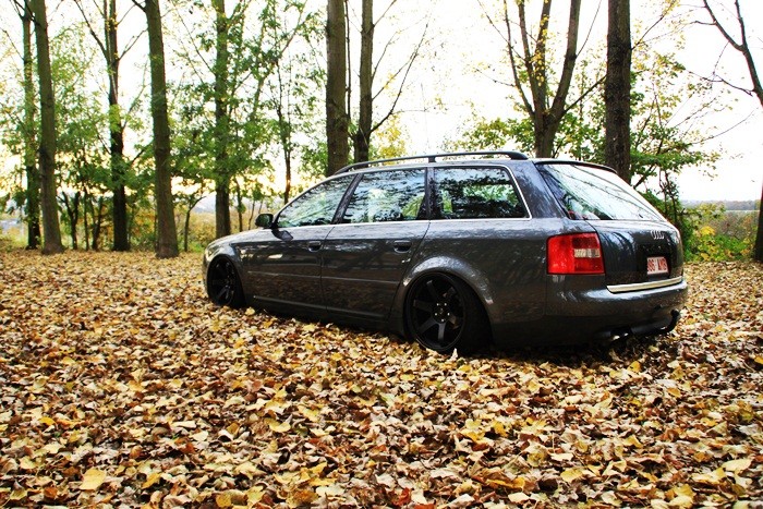 audi_a10.jpg | Servimg.com - Free image hosting service