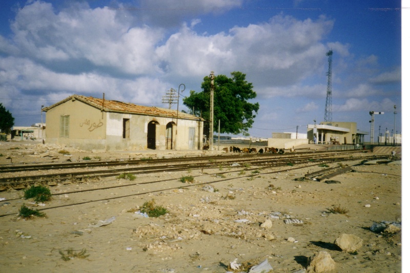 Ballade ferroviaire en Afrique... - Page 2 El_ala10