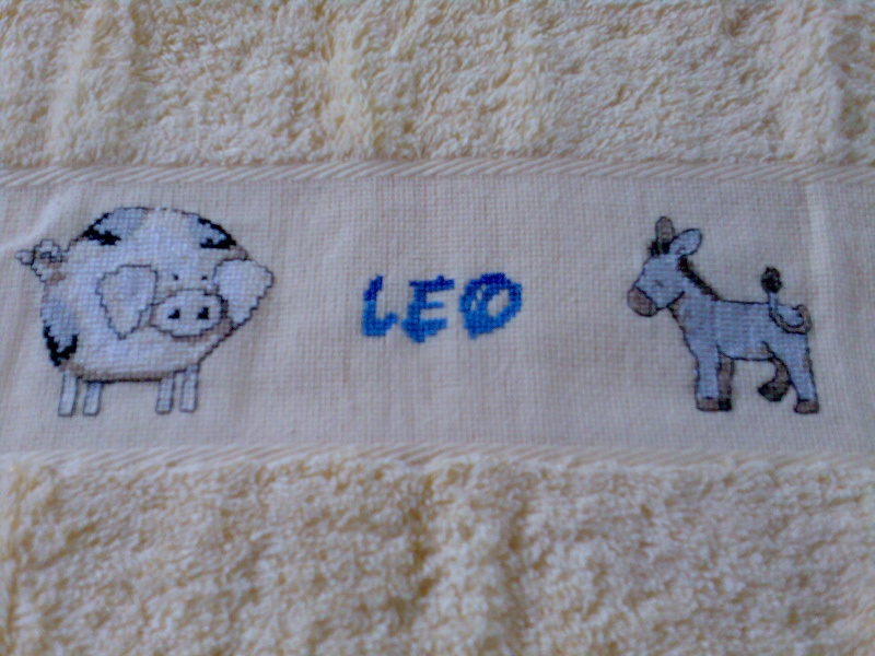 serviette pour Leo Photo013