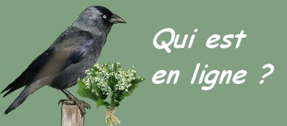 Qui est en ligne ?