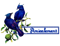 Bon Anniversaire Amicalementbirds  Amitia15