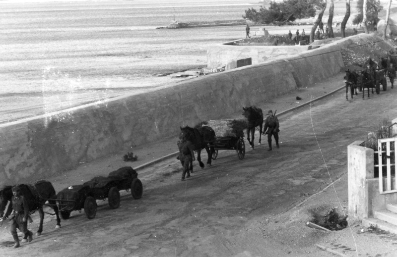 Esplanade bétonnée sur la plage de la Ciotat (13) Rep_2211