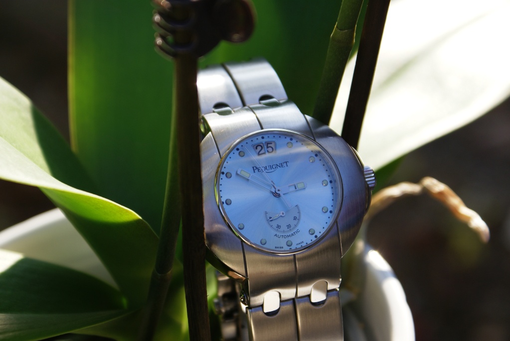 Feux de vos montres mécaniques théme écologie ! Dsc01318