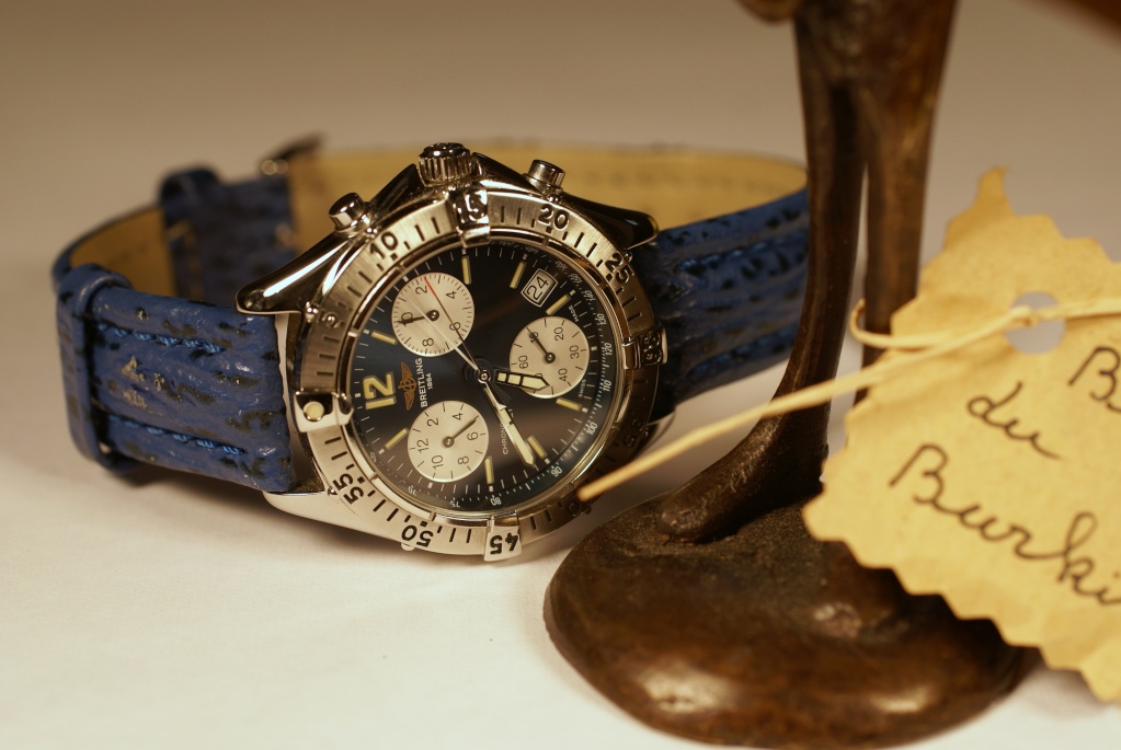 *****La montre du jour ! vol.4***** - Page 30 Dsc02617