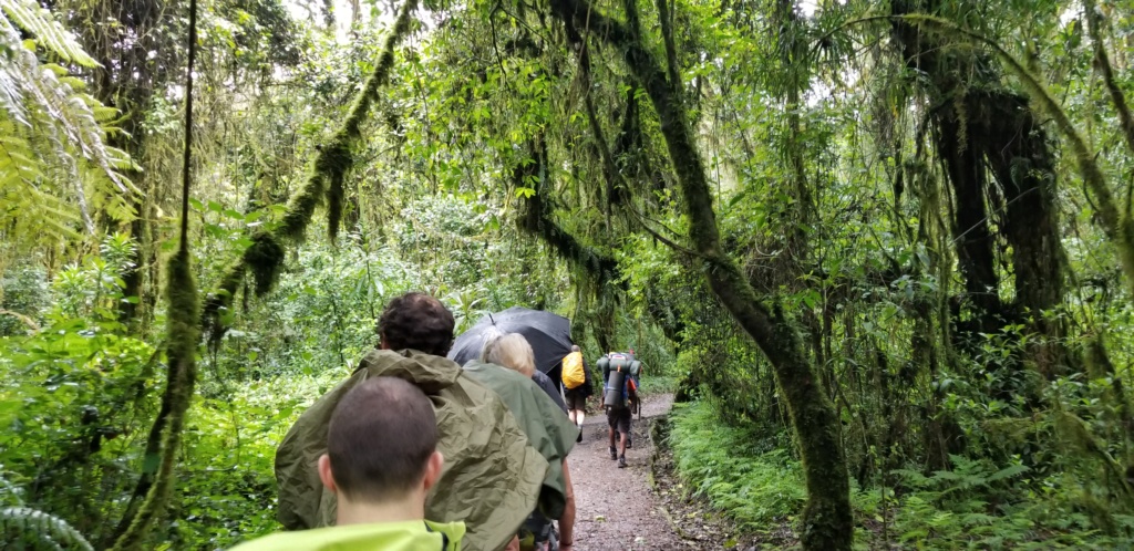 Montée du Kilimanjaro ^5895m 20181221