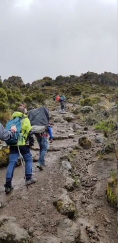 Montée du Kilimanjaro ^5895m 20181228