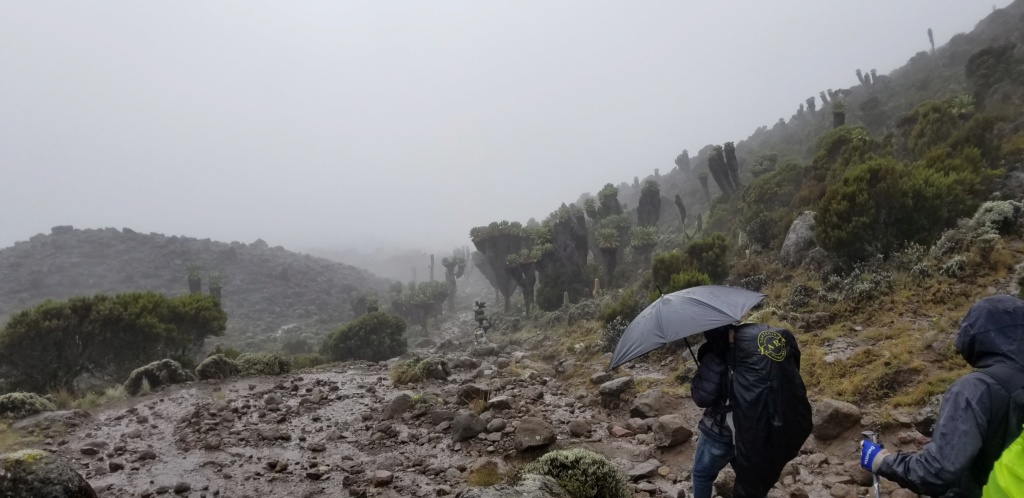 Montée du Kilimanjaro ^5895m 20181242