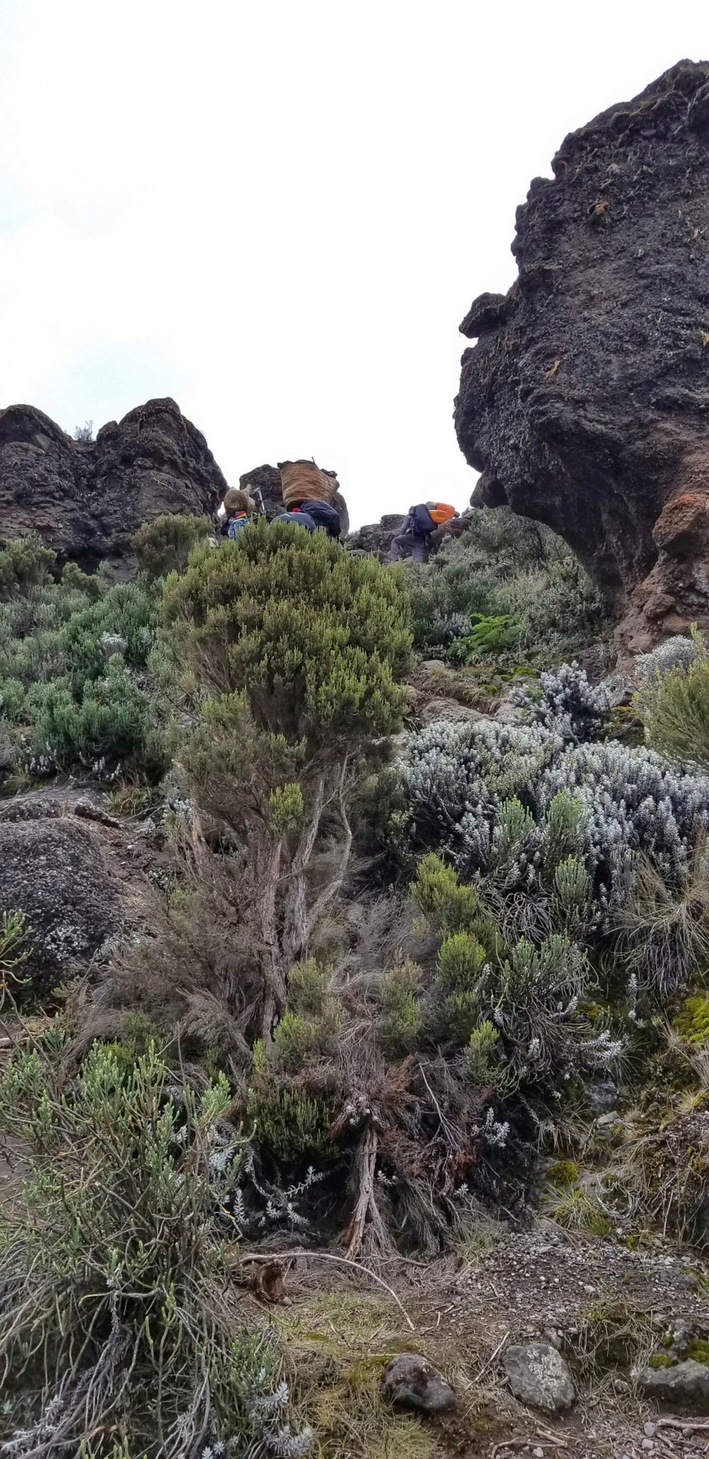 Montée du Kilimanjaro ^5895m 20181254