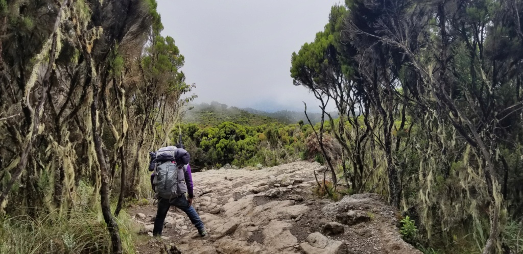Montée du Kilimanjaro ^5895m 20181289