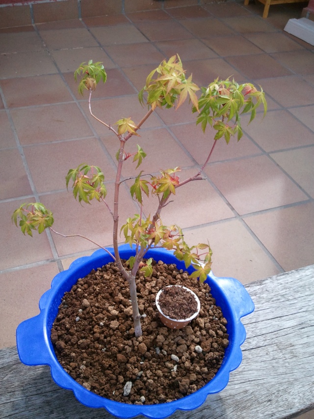 Acer Little Princes - Página 2 2012-101