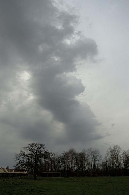 Premiers orages de chaleur samedi 15? - Page 2 D70_0012