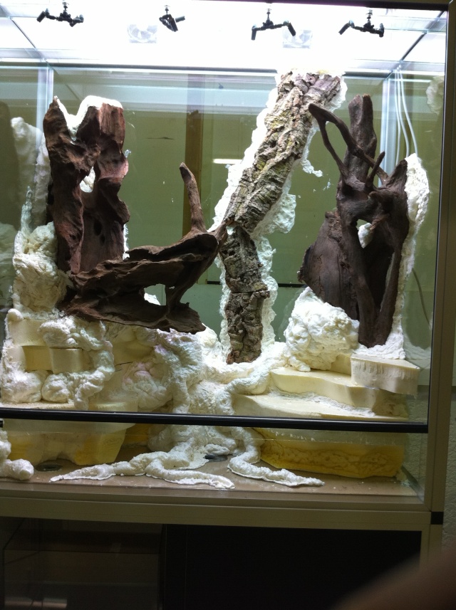 Terrarium tropical humide by "Le Pelu" 317