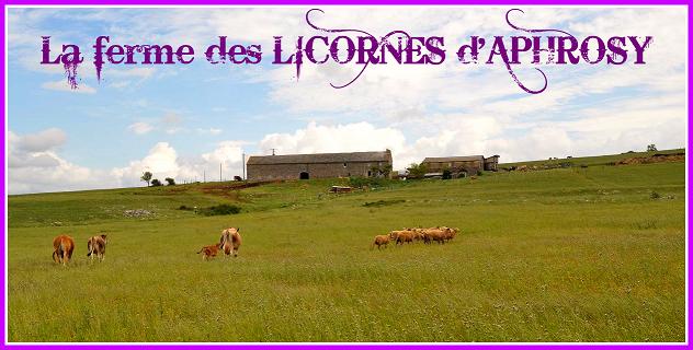 Bonsoir du Larzac Accuei13