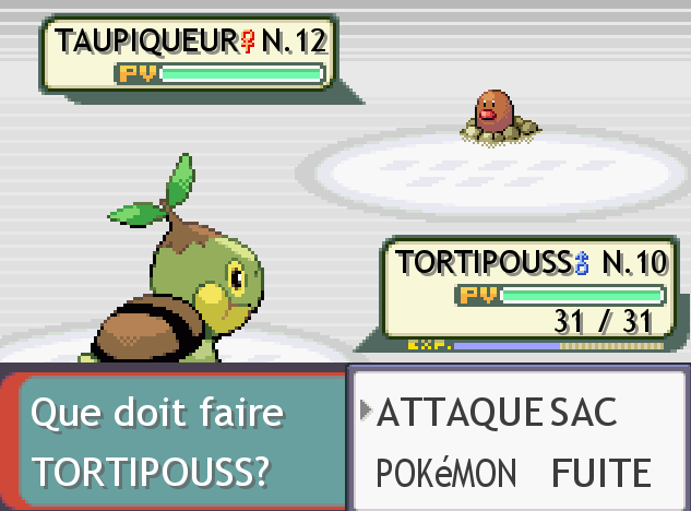 Pokemon Turquoise [Demo 2.0] Sc410