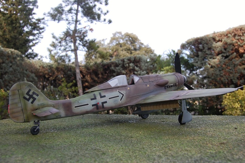 FOKE WULF 190 D-9 1/32 ème HASEGAWA 12011