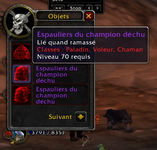 Premire visite au repaire de Gruul : Maulgar DOWN :) Z_59010