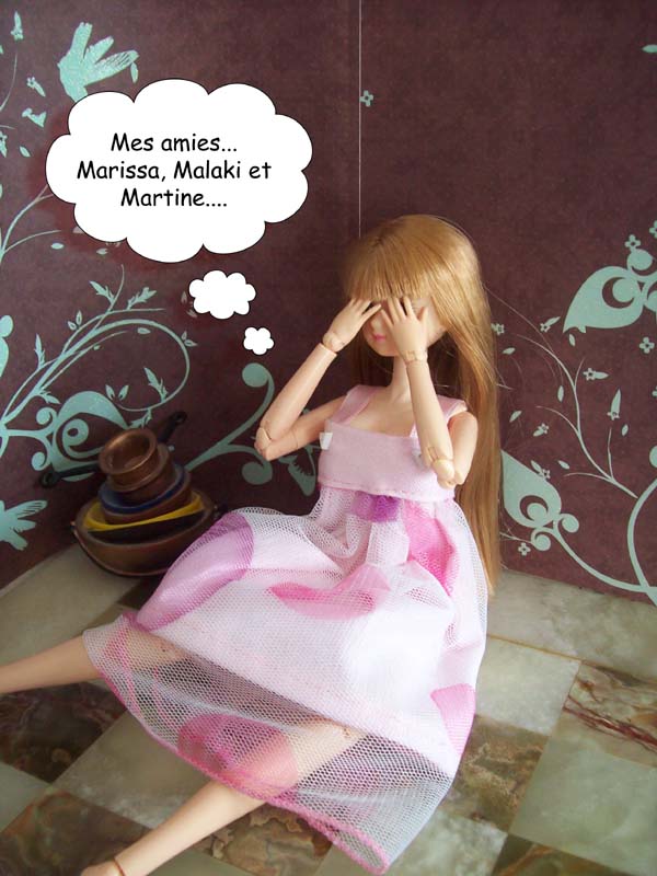 mes dolls - new doll 20/12 P4 - Page 2 Photo_83