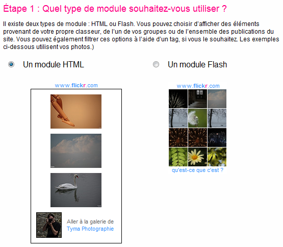 Aperçu de la 1ère étape de création d'un badge sur Flickr : Quel type de module souhaitez-vous utiliser ?
