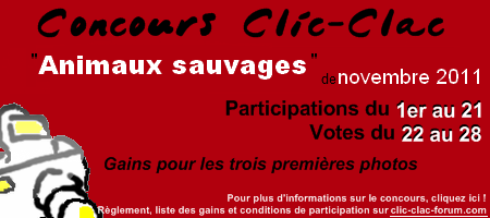 Concours de photographie Clic-Clac de Novembre 2011, Animaux sauvages
