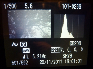 Aperçu des détails d'une photo sur un Canon EOS 450D pour le passage à l'heure d'hiver