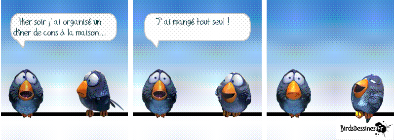 Nouvelle couvée des z'ozios 1c028710