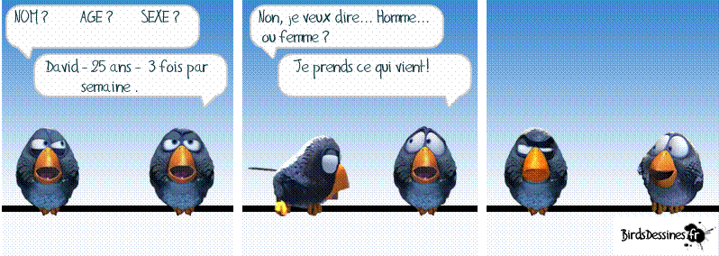 Nouvelle couvée des z'ozios 1c038510