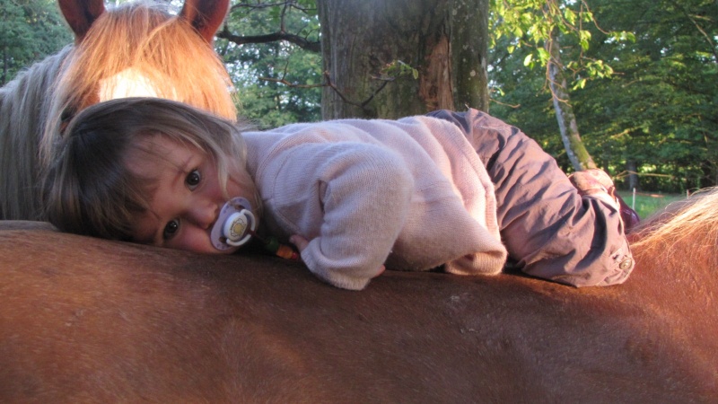 Concours photo du mois de septembre : le cheval et l'enfant 25_07_10
