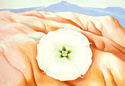 Georgia O'Keeffe [peintre] A3361