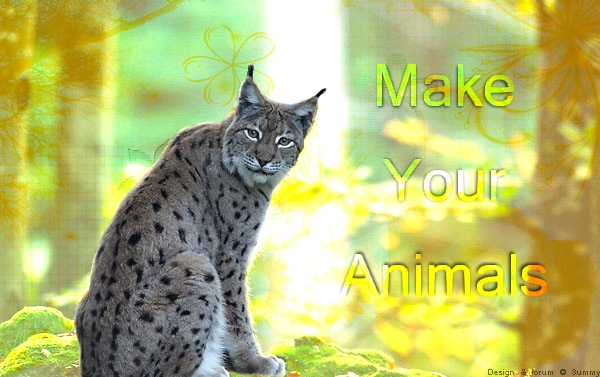 Make Your Animals