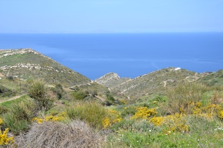 Les Randonnées à Naxos - Page 12 2012-062
