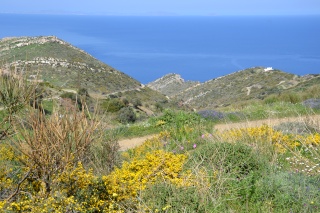 Les Randonnées à Naxos - Page 12 2012-063