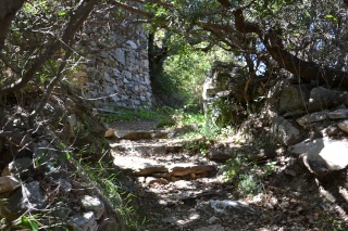 Les Randonnées à Naxos - Page 12 2012-116
