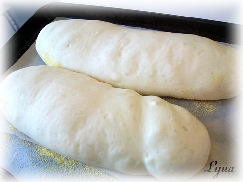 Baguettes sur poolish Baguet10