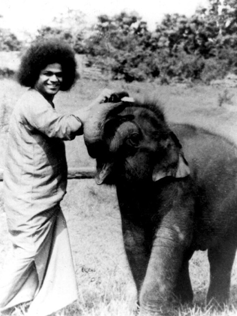 LOVE ~ Sathya Sai Baba Old_pi10