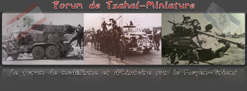 Forum de Tsahal Miniature Image126